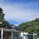 서귀포종합관광안내소 이미지