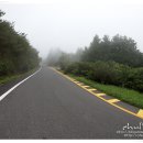 거린사슴전망대 이미지