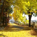 임고초등학교 이미지