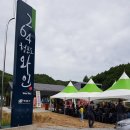 백운로(도산면) 이미지