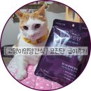 [고양이영양간식] 고양이용 공진단, 묘진단 급여 후기 (반려동물보감연구소)