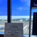 jeju guest house 이미지