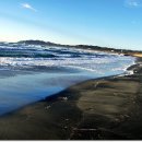 초밥천국 이미지