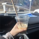 피에이치세븐티(pH7Tea) | 삼척 PH7Tea 피에이치세븐티 / 밀크티 / 수제 육포 맛집 / 데이트코스