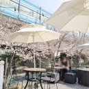 샌드비(SandB) 이미지