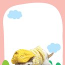 세명복권 이미지