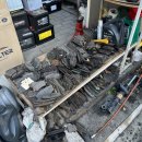 애니카랜드 역삼점 이미지