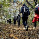 낙조보러가는길 이미지