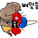 WS복싱클럽 원당점 네이버블로그