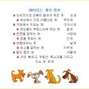 저팔개식당 이미지