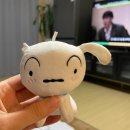 도그스테이블 | 2026년 1월 일상 (2)