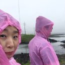 강부자 농장 | [15년 7월 제주] 태풍속으로