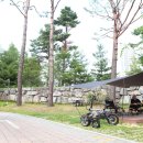 수원-0706 이미지