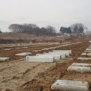 황등 태양광발전소 이미지