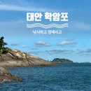 항구낚시터 이미지