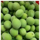 오향골농장 이미지