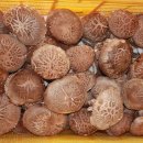 서준농장 이미지