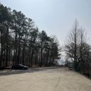 감골오리 이미지