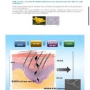 디오메디컬 이미지