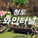 [핫플레이스 를 가다] 24 청도 와인터널 겨울은따뜻 여름은시원 와인잔에 정을담아 이미지