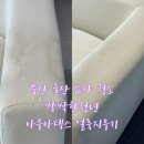 산사람 크리닝 | 부산 울산 쇼파청소 싹싹한청년 아이있는집 아쿠아텍스 얼룩 추천