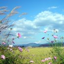 정다운노인복지센터 이미지