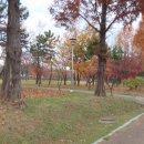 갯골근린공원 이미지