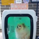 주식회사 스마트큐브 이미지