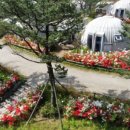 햇골글램핑 네이버블로그