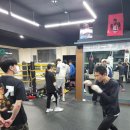 버팔로복싱짐 이미지