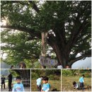 금동산야 이미지