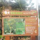 동네누부야가 이미지