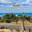 [허니제주] 제주도 패키지 솔직후기 | 가성비에 혹하다