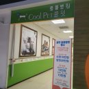 가양쿨펫동물병원 이미지