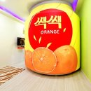 라고스테마 이미지