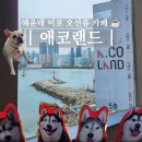 애코랜드 | 해운대 미포 오션뷰 카페 허스키와 만나는 애코랜드 해운대점 아이와 가볼 만한 곳
