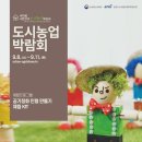 공기정화 스칸디아모스 만들기 이미지