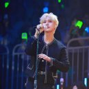 토끼나라 이미지