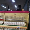 진해신항중학교 이미지