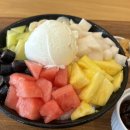 달브로 이미지