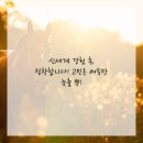 연세란치과의원 이미지