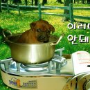 하이트광장 이미지