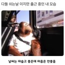 세븐일레븐 광진자양로점 | [5월_딱히_할말은 없다_]