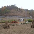 가마실마을 이미지