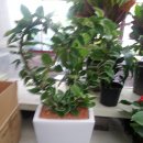 이도목장 이미지