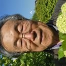 날마다잔치 이미지