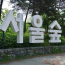 서울숲골프존 이미지