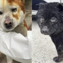 청년사료 이미지