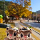 수정초등학교 | 보은 :: 등산 후에 먹는 밥은 꿀맛이로구나~ 식당 옛고을의 푸짐한 산채불고기 정식