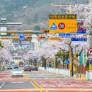 여좌장복경로당 네이버블로그